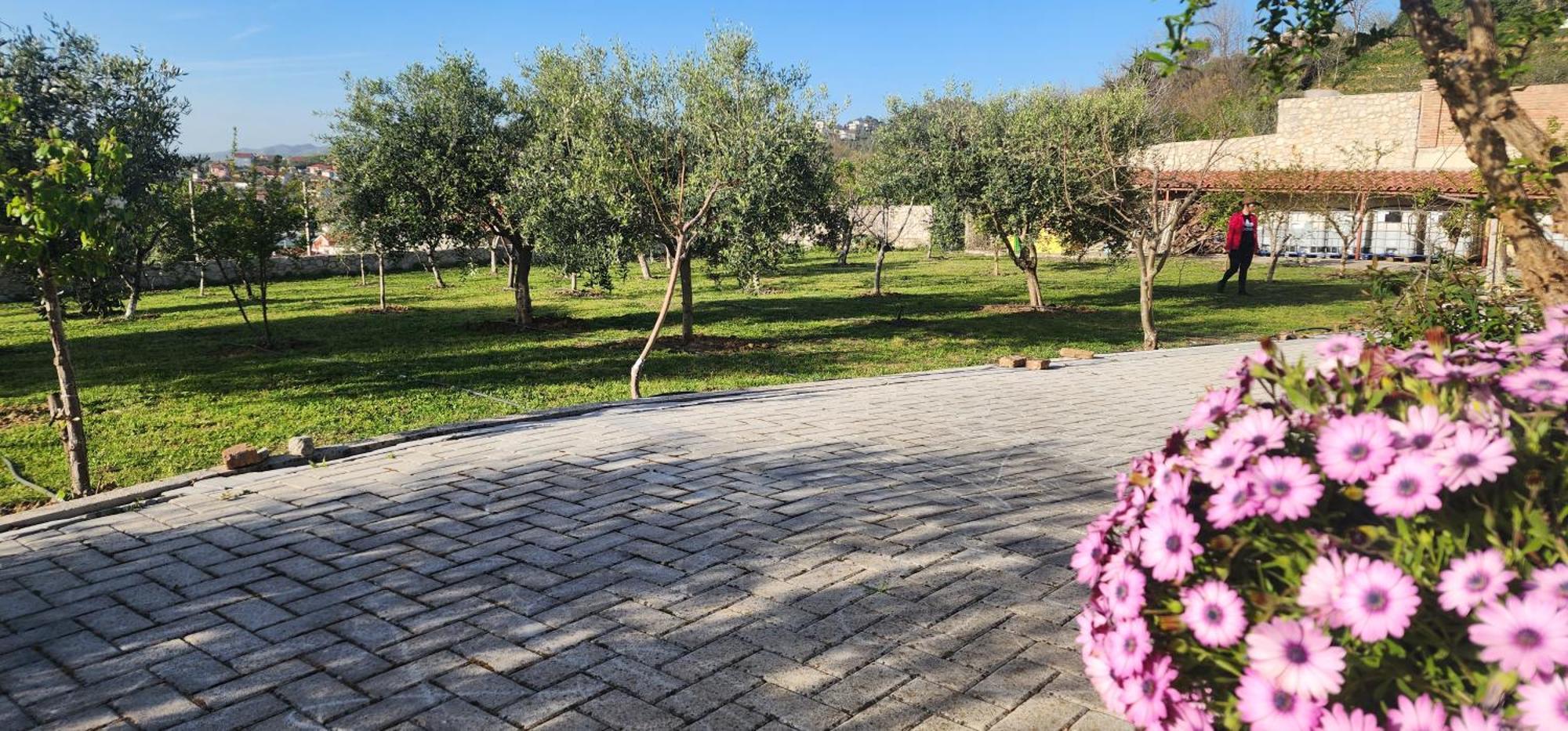 Villa “Pool & Sun” Durrës Eksteriør billede